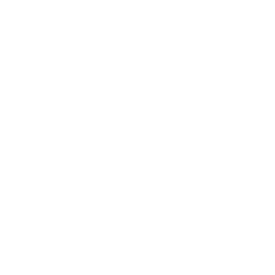 AbbVie Inc. Common Stock